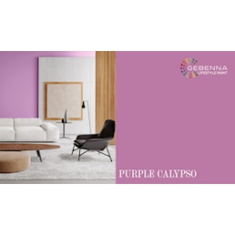 PURPLE CALYPSO NY.jpg